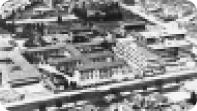 1975