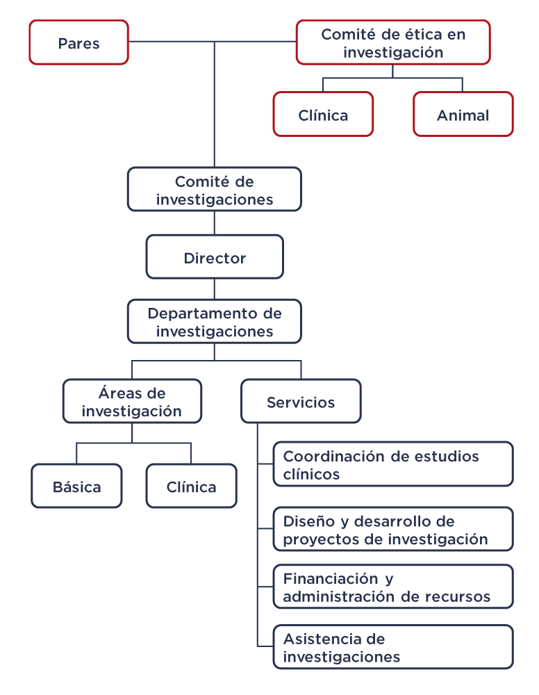 Estructura