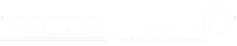 logo footer