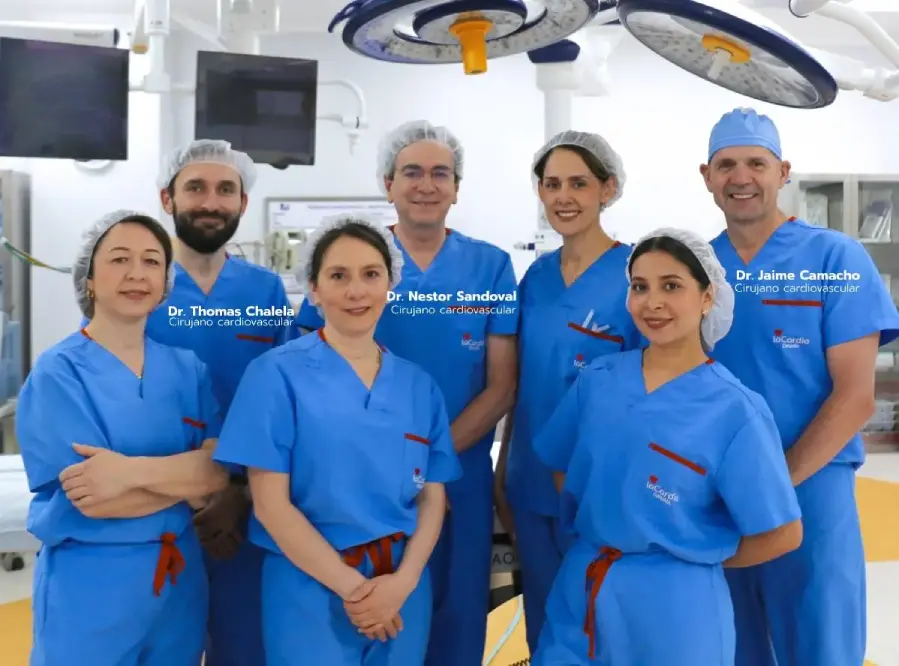 Programa de excelencia clínica revascularización miocárdica - LaCardio