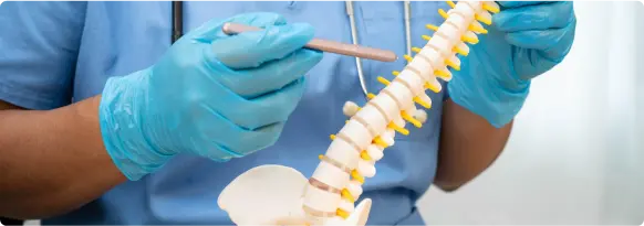 Cirugía de columna vertebral - LaCardio