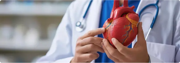 Cercanía y Calor Humano - LaCardio