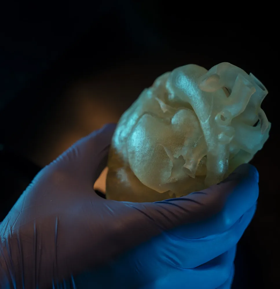 ¿Para qué sirve? - LaCardio