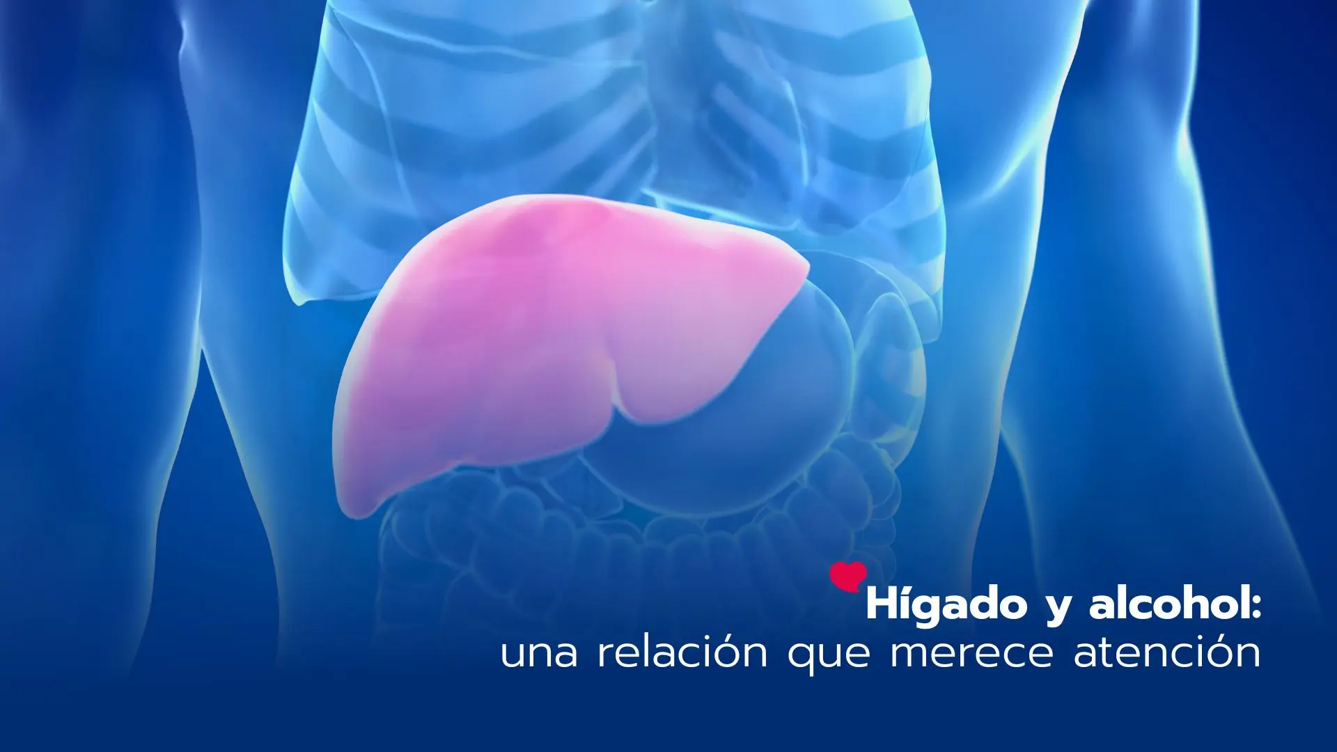 Hígado y alcohol: una relación que merece atención