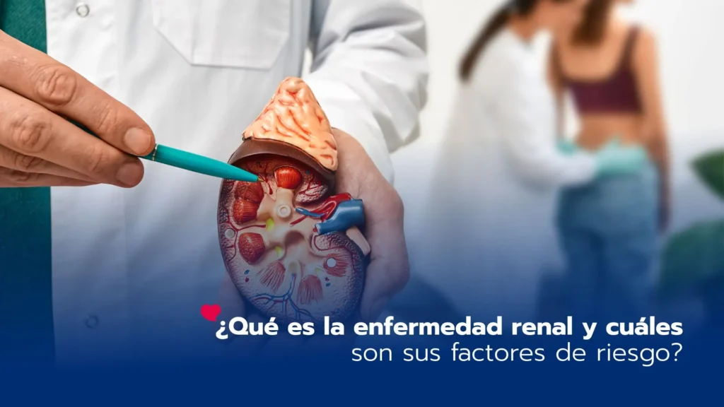¿Qué es la enfermedad renal y cuáles son sus factores de riesgo?