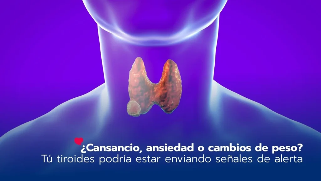 ¿Cansancio, ansiedad o cambios de peso? Tú tiroides podría estar enviando señales de alerta