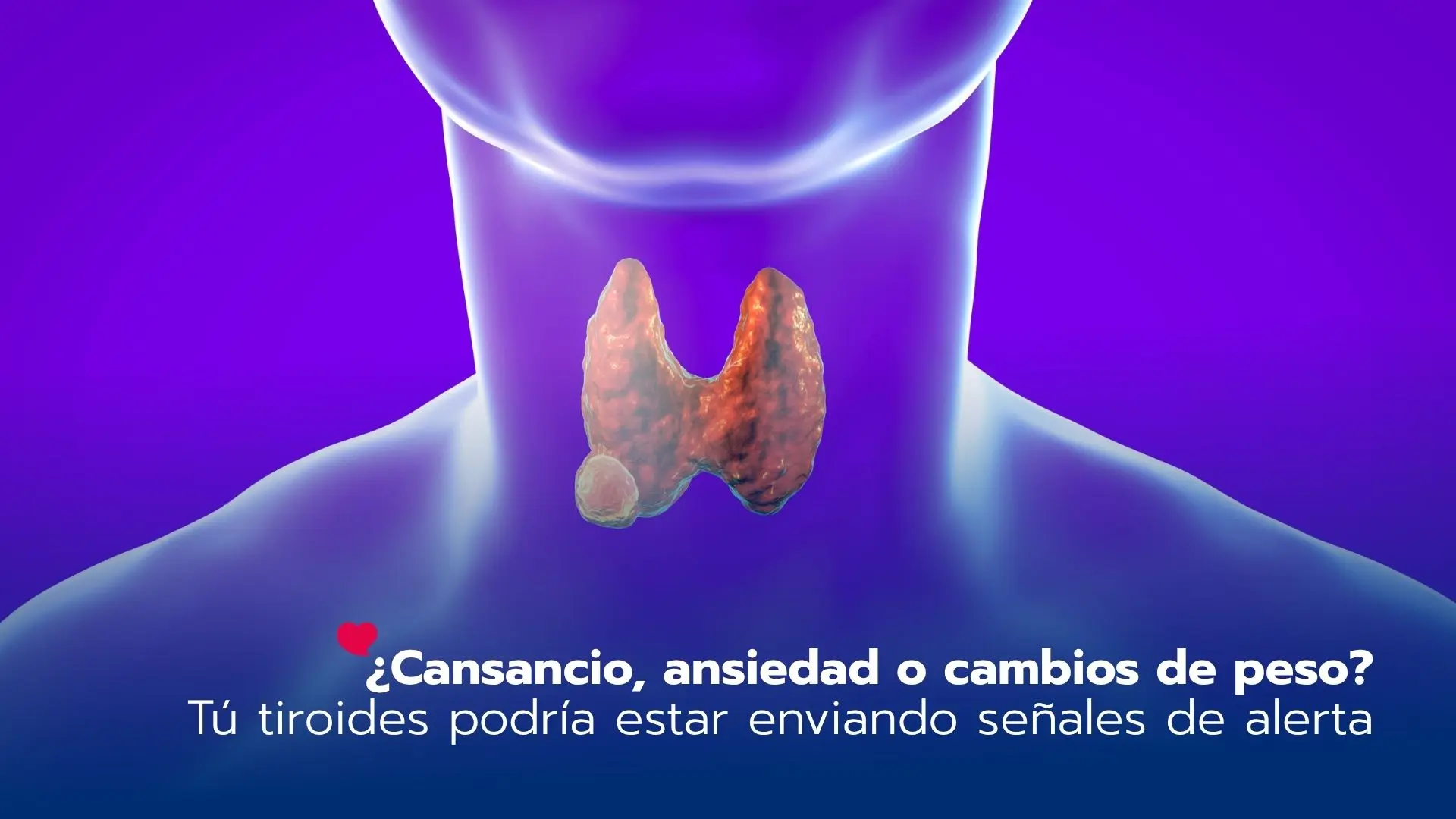 ¿Cansancio, ansiedad o cambios de peso? Tú tiroides podría estar enviando señales de alerta