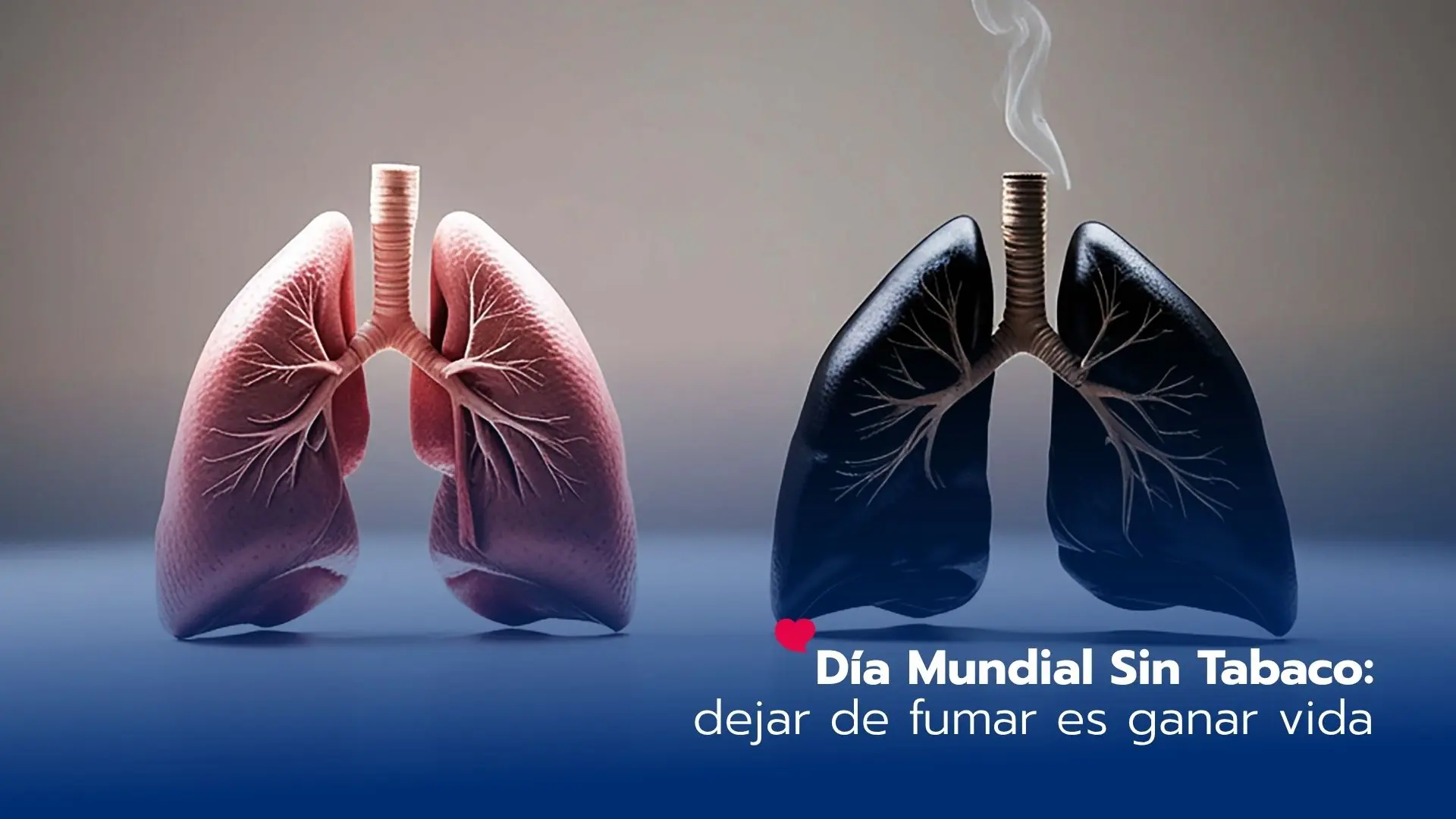 Día Mundial Sin Tabaco: dejar de fumar es ganar vida