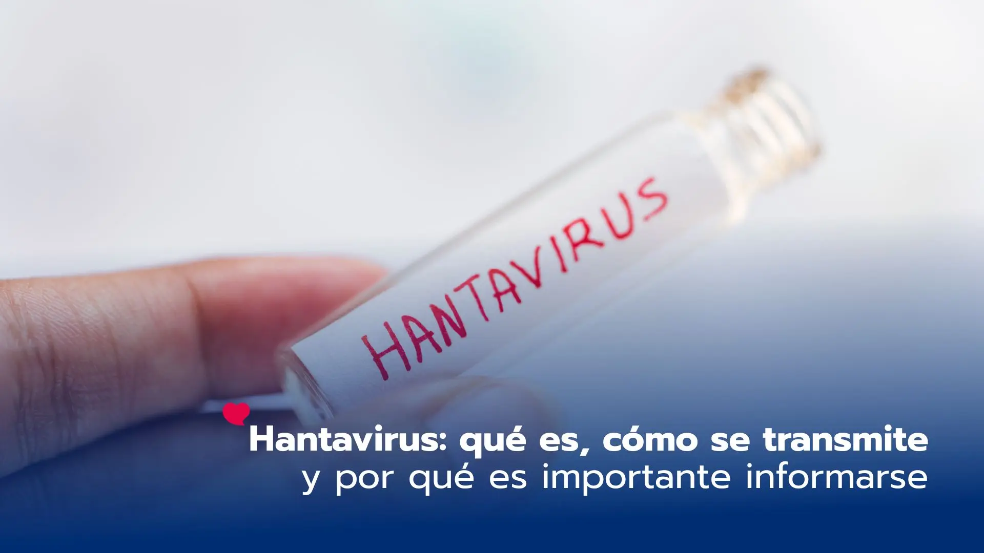Hantavirus: qué es, cómo se transmite y por qué es importante informarse sin alarmarse