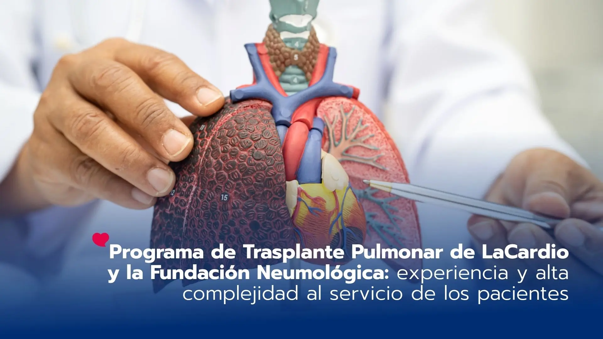 Programa de Trasplante Pulmonar de LaCardio y la Fundación Neumológica: experiencia y alta complejidad al servicio de los pacientes