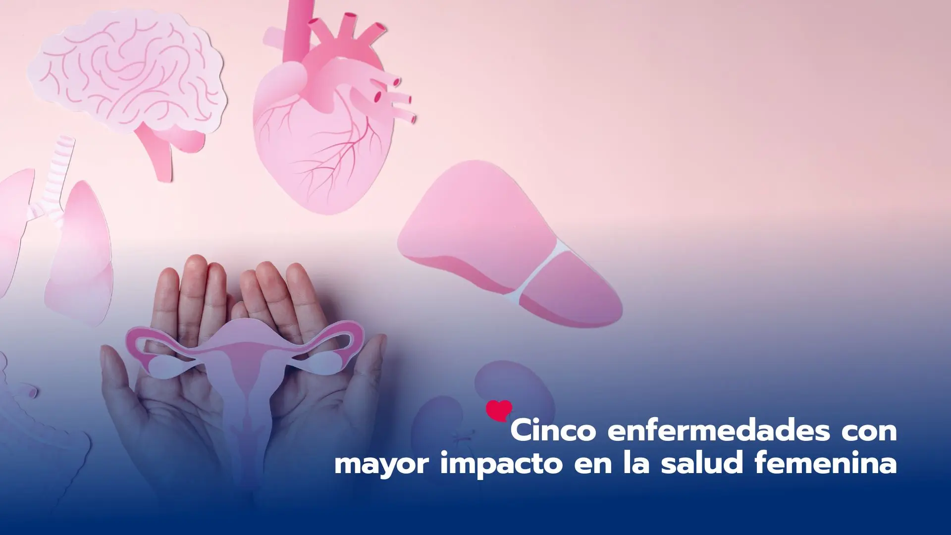 Cinco enfermedades con mayor impacto en la salud femenina