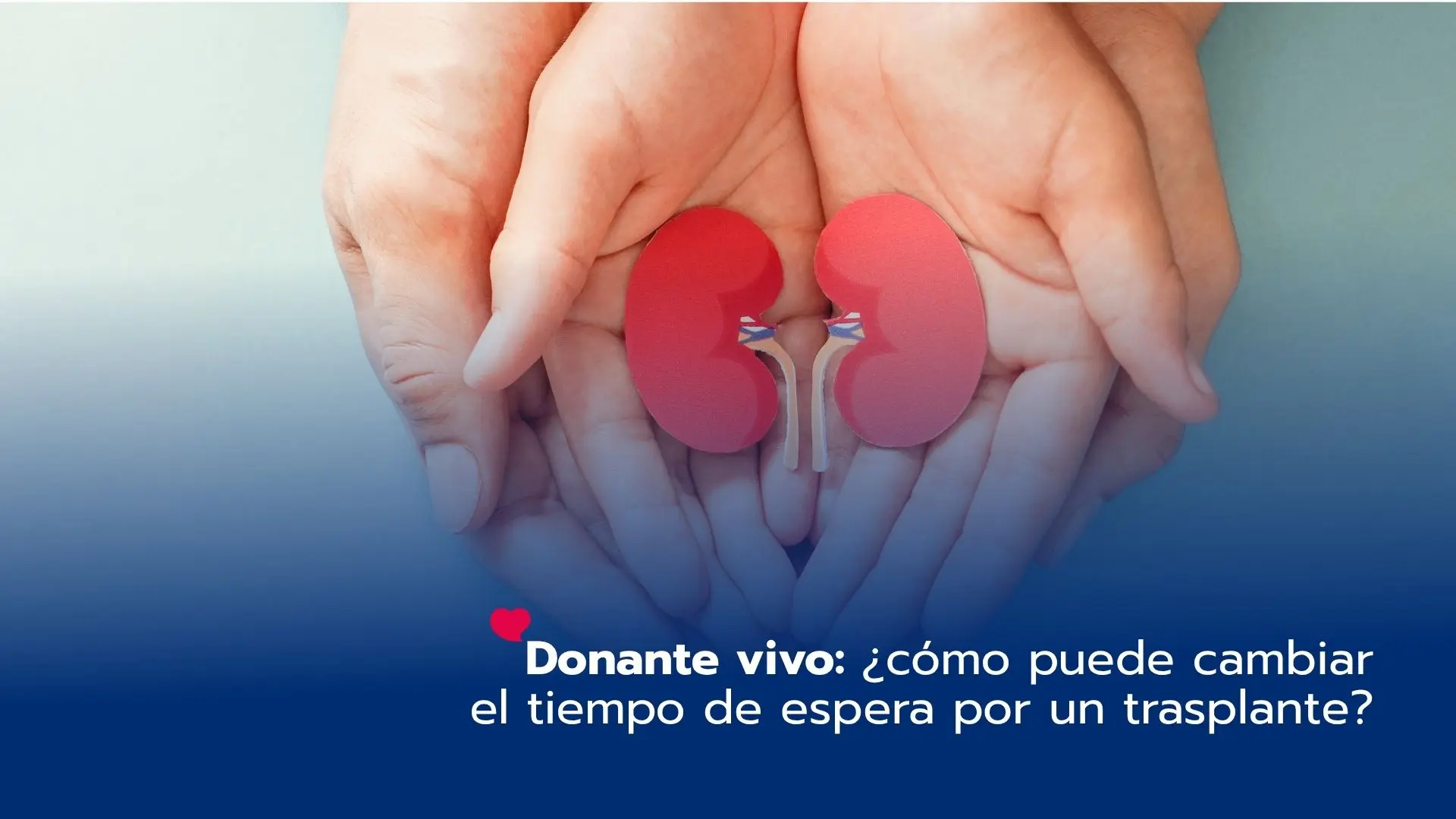Donante vivo: ¿cómo puede cambiar el tiempo de espera por un trasplante?