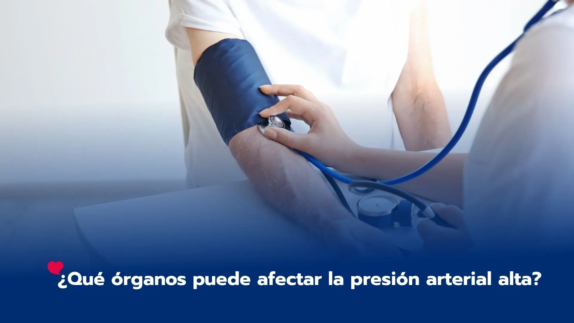 ¿Qué órganos puede afectar la presión arterial alta?